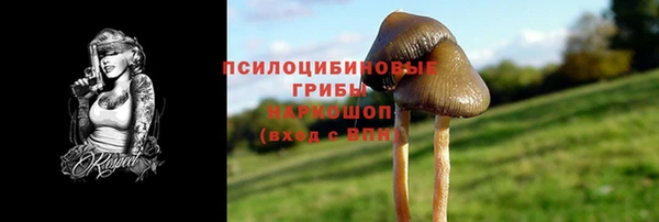 Альфа ПВП Алексин