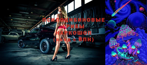 Альфа ПВП Алексин