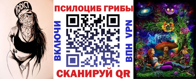 наркота  Вихоревка  Псилоцибиновые грибы Psilocybe 